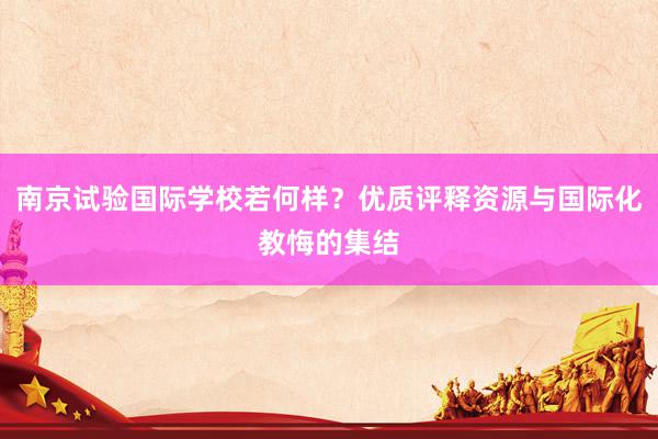 南京试验国际学校若何样？优质评释资源与国际化教悔的集结