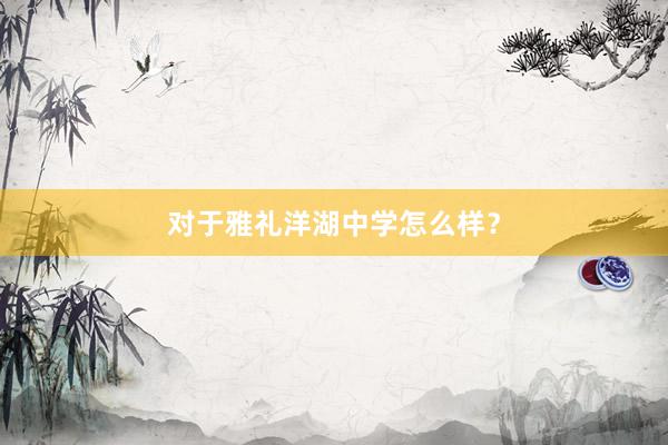 对于雅礼洋湖中学怎么样？
