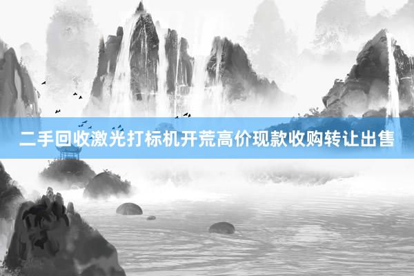 二手回收激光打标机开荒高价现款收购转让出售