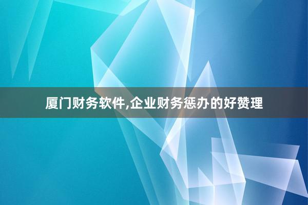 厦门财务软件，企业财务惩办的好赞理