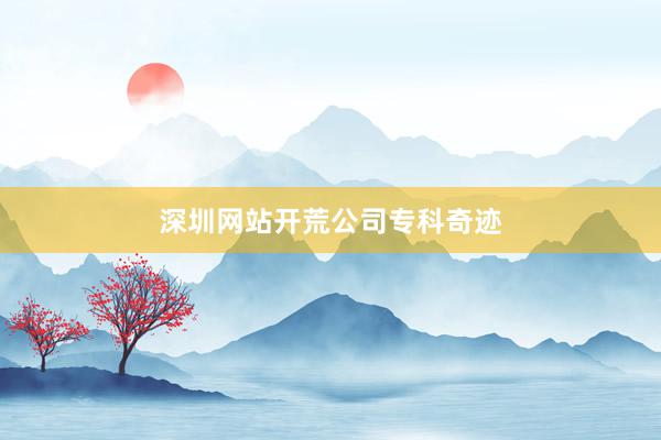 深圳网站开荒公司专科奇迹