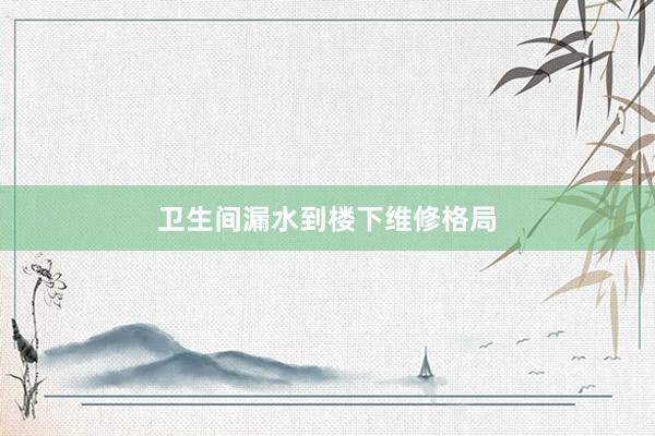卫生间漏水到楼下维修格局