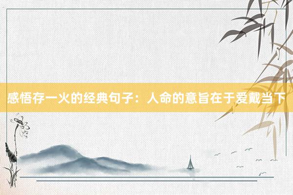 感悟存一火的经典句子：人命的意旨在于爱戴当下