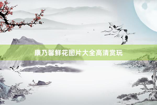 康乃馨鲜花图片大全高清赏玩